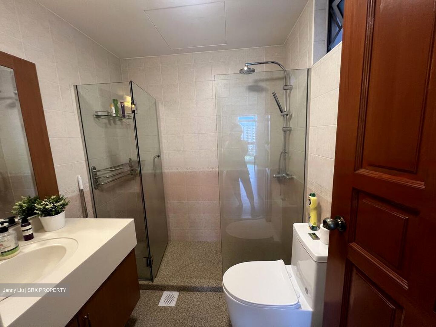 Emerald Park (D3), Condominium #456036451